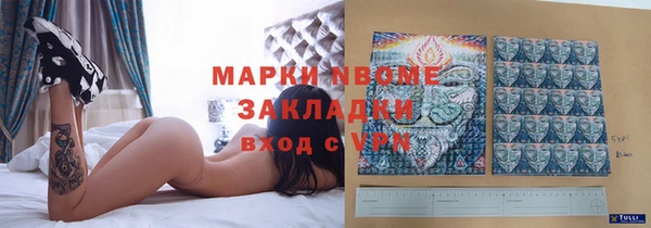 дурь Алексин