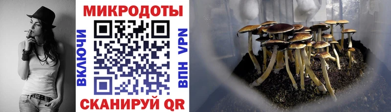 Галлюциногенные грибы Cubensis  Сосновка 