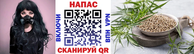 Шишки марихуана Amnesia  купить наркоту  Сосновка 